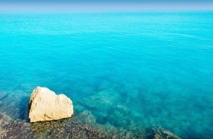 marroig-formentera-escalo-elpino